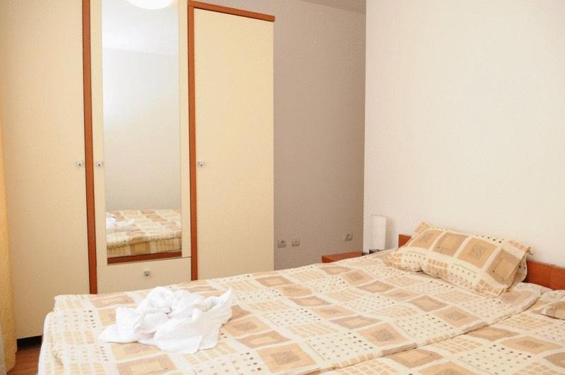 Northern Star Bansko Room photo